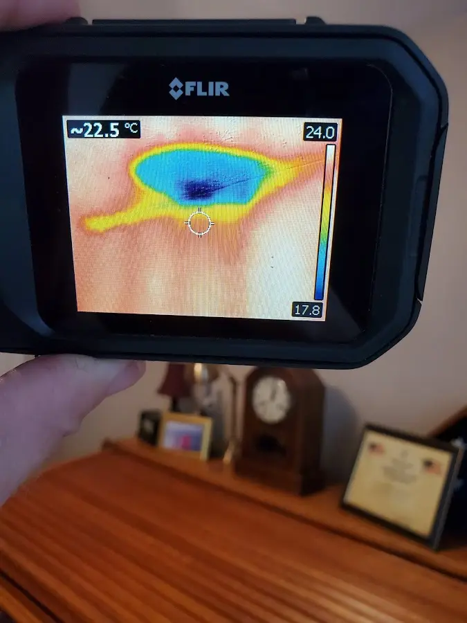 Thermal imaging inspection for water damage in Difficult Run