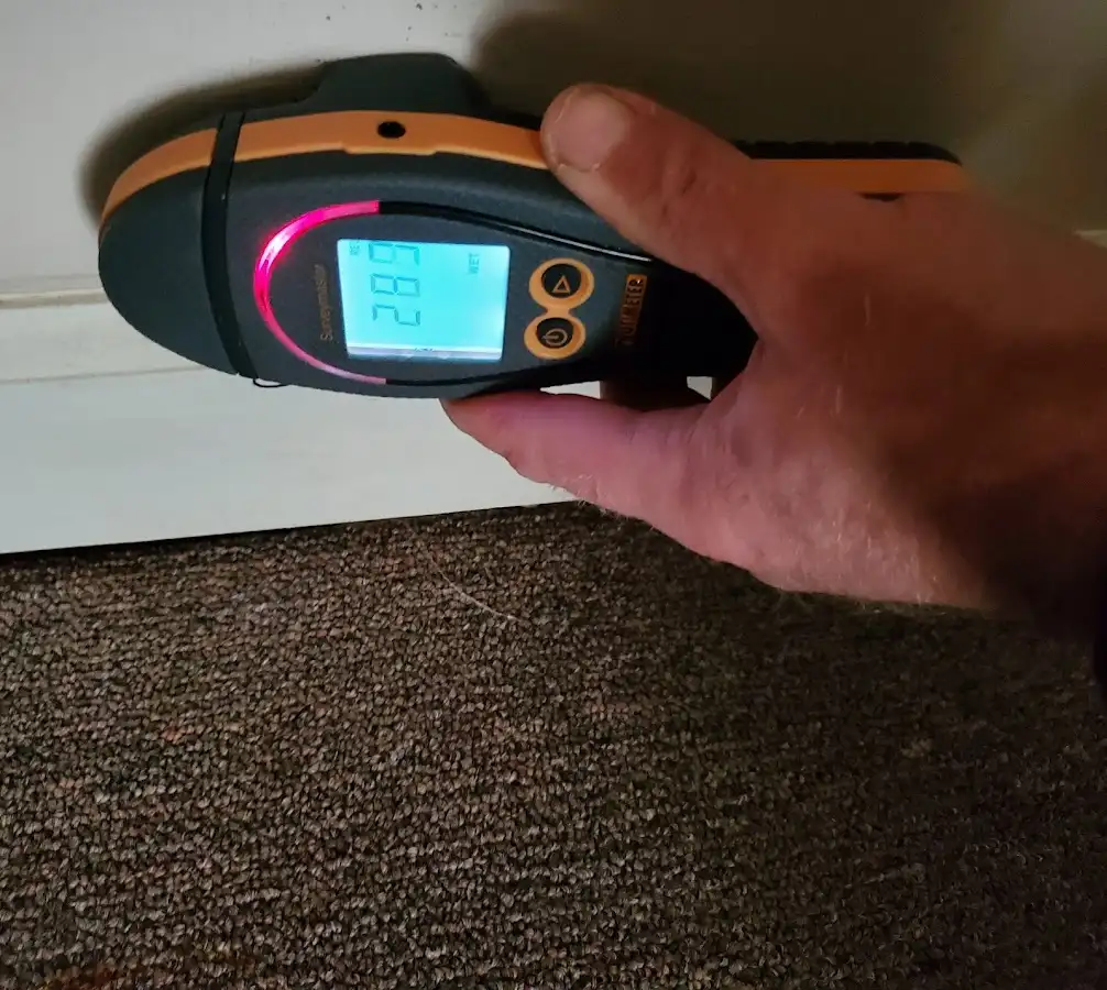 Moisture detection at baseboard during Mold Inspection & Testing in Difficult Run